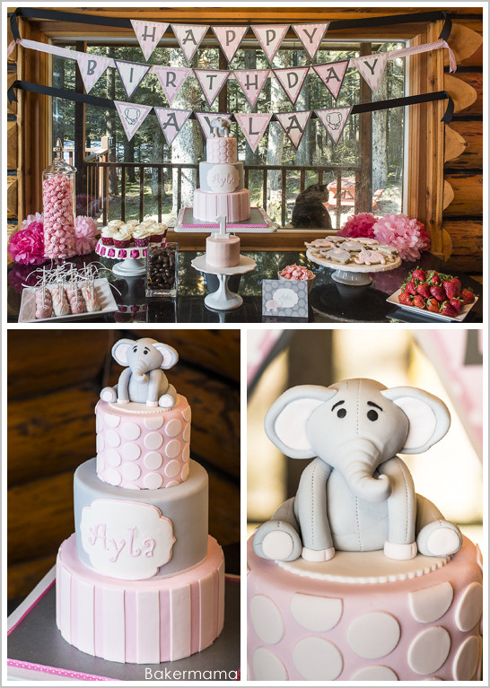Elephant Birthday Decorations
 Elephant Birthday Party