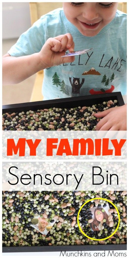 Family Themed Crafts For Toddlers
 "My Family" Sensory Bin