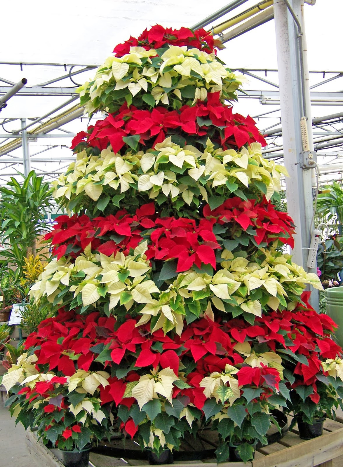 Flower Christmas Tree
 Decorating Your Home for Christmas