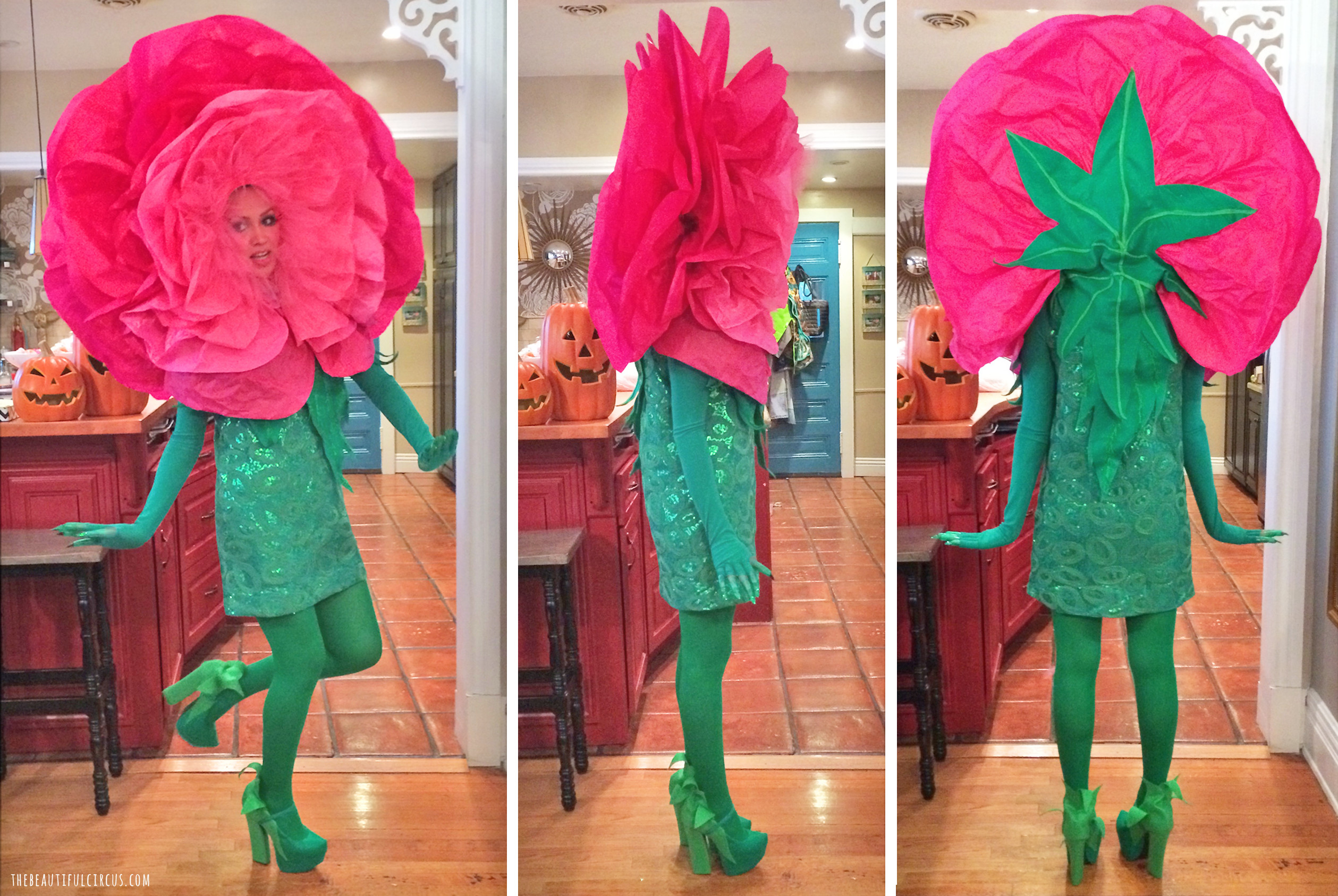 Flower Costume DIY
 Flower Face The Beautifulcircus