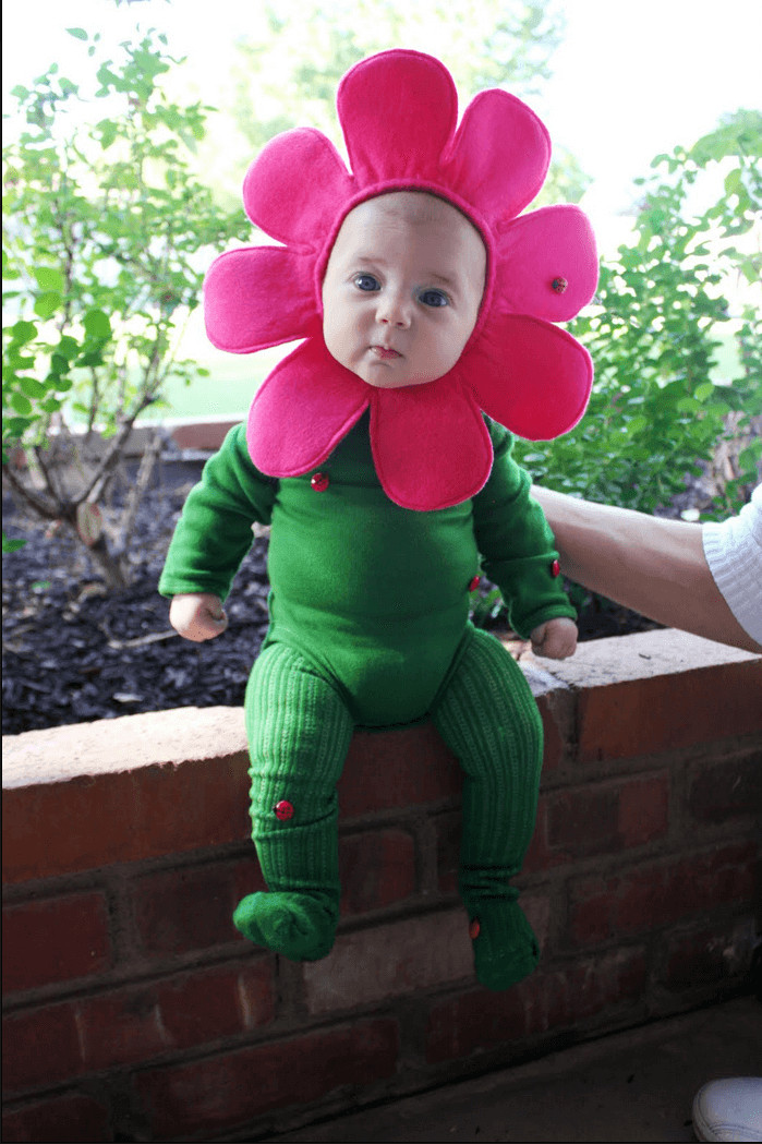Flower Halloween Costume For Toddler
 Adorable Halloween Costumes For Babies Infants Festival