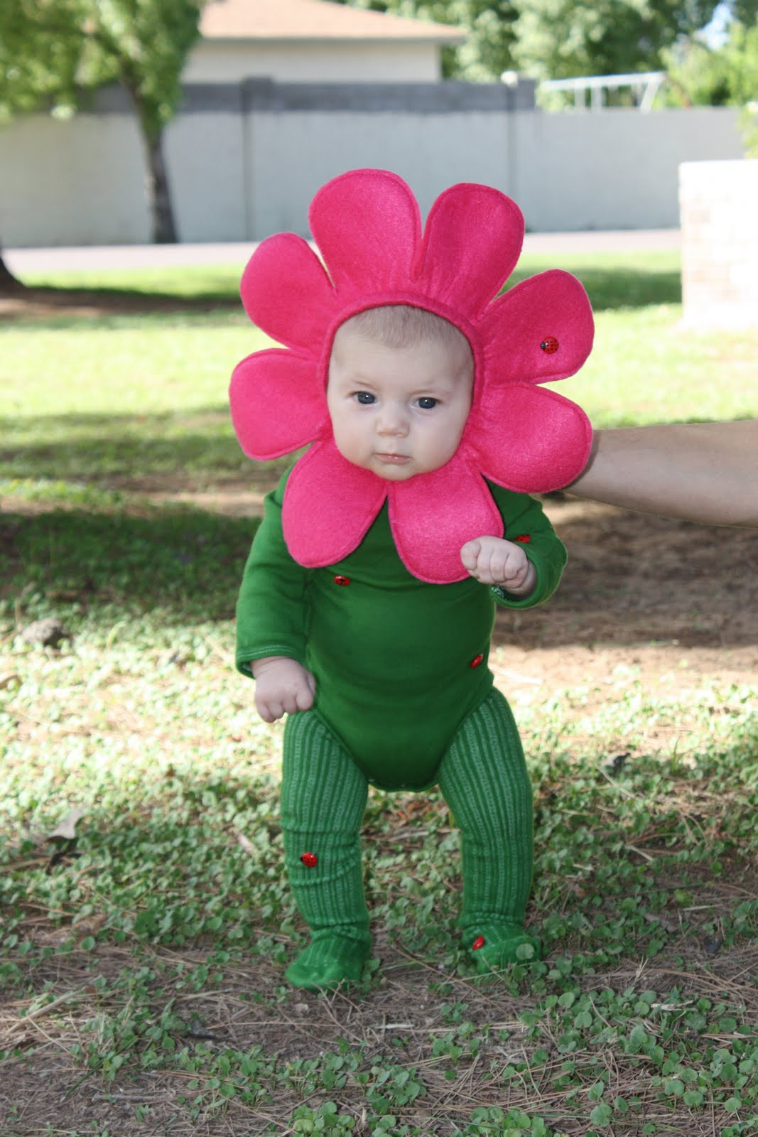 Flower Halloween Costume For Toddler
 Joy Halloween Finally