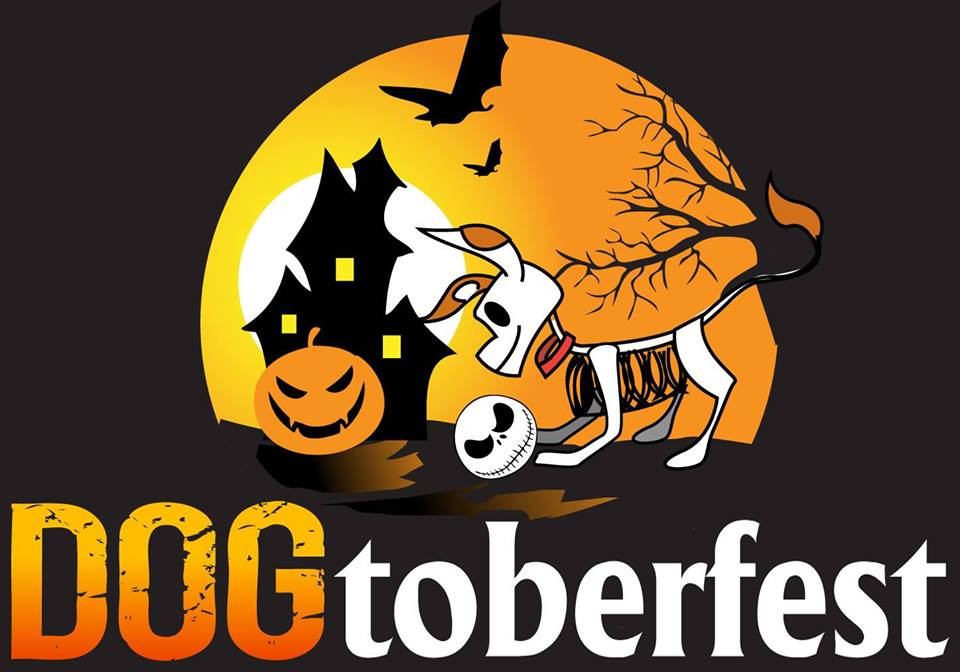 Fountain Hills Halloween 2019
 DOGtoberfest Arizona 2017 – Family Fun AZ