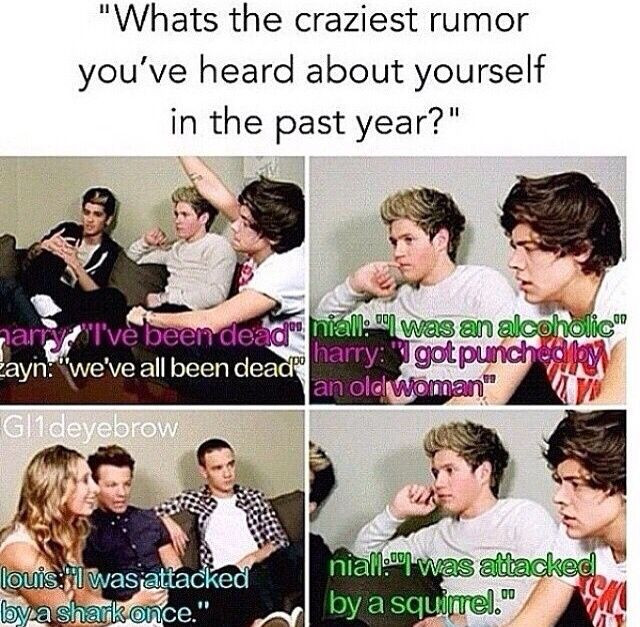 Funny One Direction Quotes
 25 best ideas about e direction humor on Pinterest