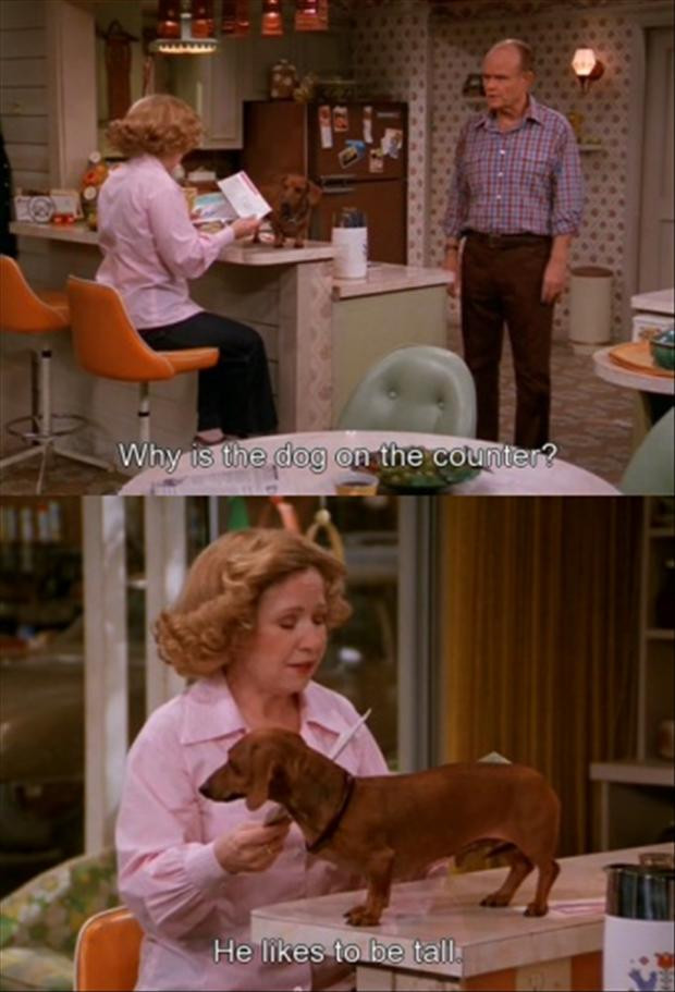 Funny That 70S Show Quotes
 that 70 s show quotes Dump A Day