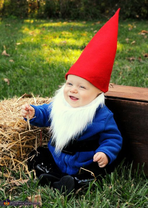Garden Gnome Costume DIY
 Gnome Costume on Pinterest