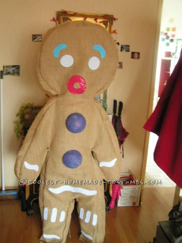 Gingerbread Man Costume DIY
 Cool Homemade Gingerbread Man Costume