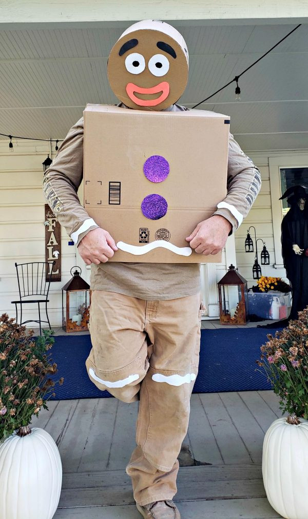 Gingerbread Man Costume DIY
 DIY Gingerbread Man Costume from Boxes Clever Housewife
