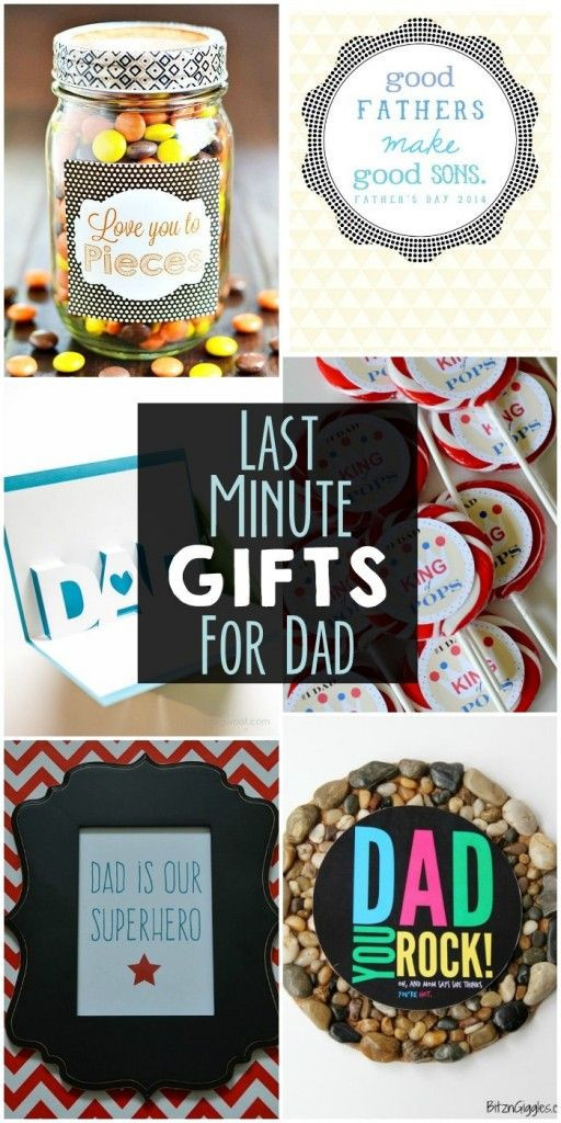 Good Dad Christmas Gift Ideas
 Last Minute Gifts for Dad Stuff Pinterest