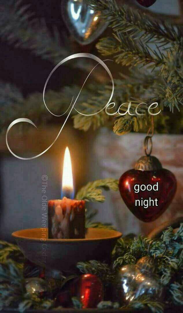 Good Night Christmas Quotes
 Pin by Mari Monroe on Good morning & Goodnight