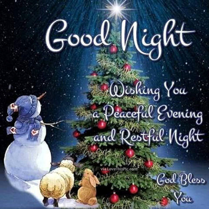 Good Night Christmas Quotes
 Good Night Wishing You A Peaceful Evening s