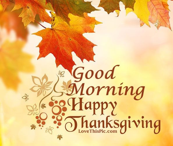 Good Thanksgiving Quotes
 Good Morning Happy Thanksgiving Image Quote