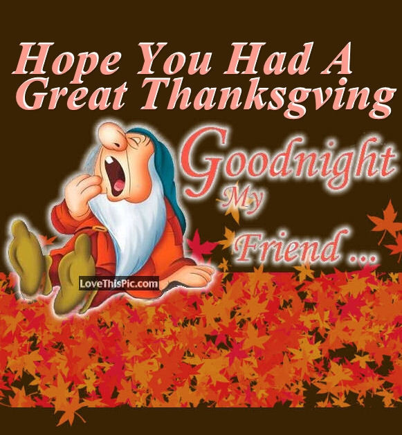 Good Thanksgiving Quotes
 Hope You Had A Great Thanksgiving Good Night Quote