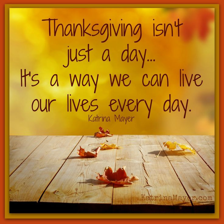 Good Thanksgiving Quotes
 100 Best Thanks Giving Quotes – The WoW Style
