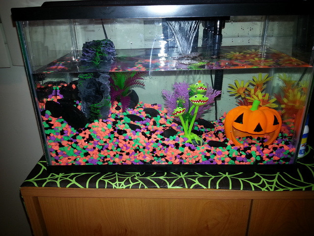 Halloween Aquarium Decor
 "Halloween Town" My Spooky Fish Tank