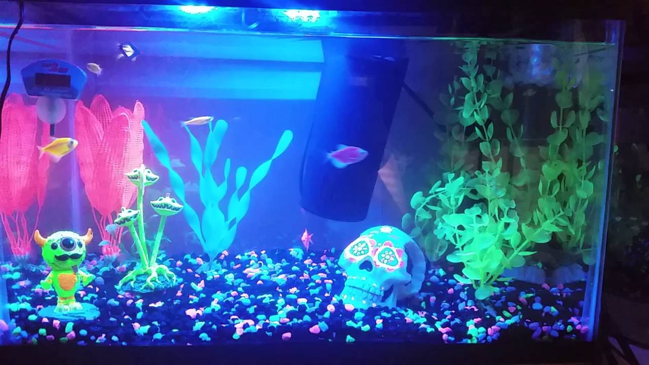 Halloween Aquarium Decor
 GloFish Tank New Halloween Decor 2016