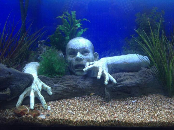 Halloween Aquarium Decor
 Horror HORROR