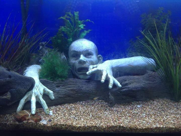 Halloween Aquarium Decorations
 tropical fish tank Geek Fantasy Adventure