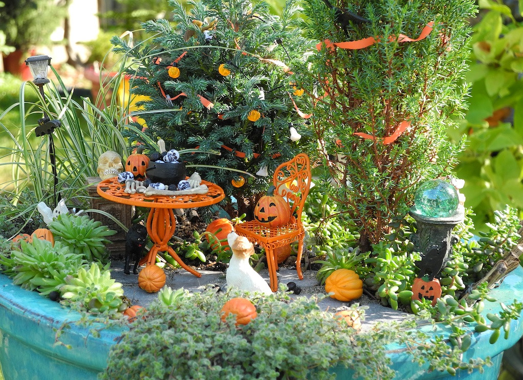 Halloween Fairy Garden
 October 2013