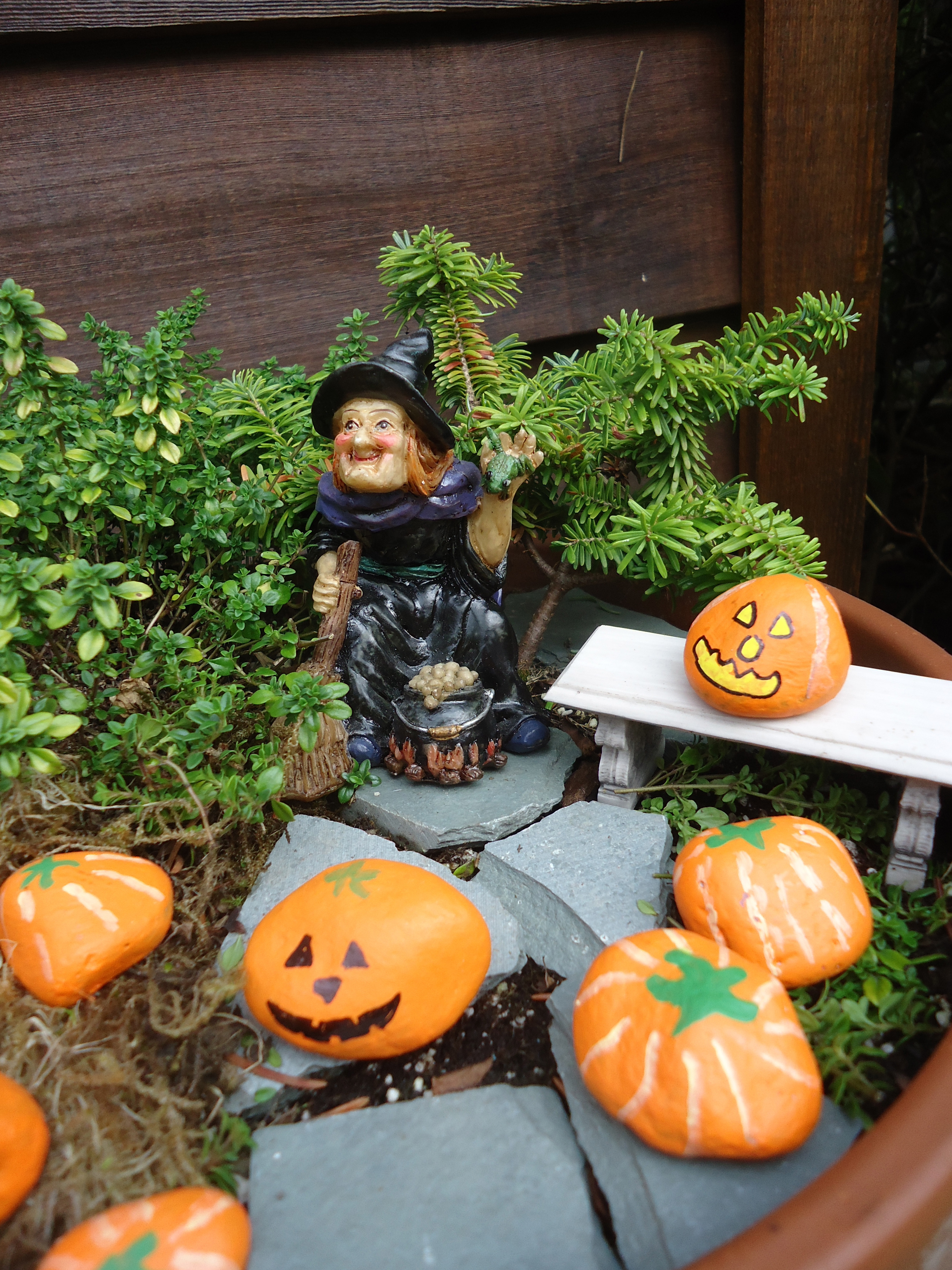 Halloween Fairy Garden
 Creating a Halloween Themed Miniature Garden