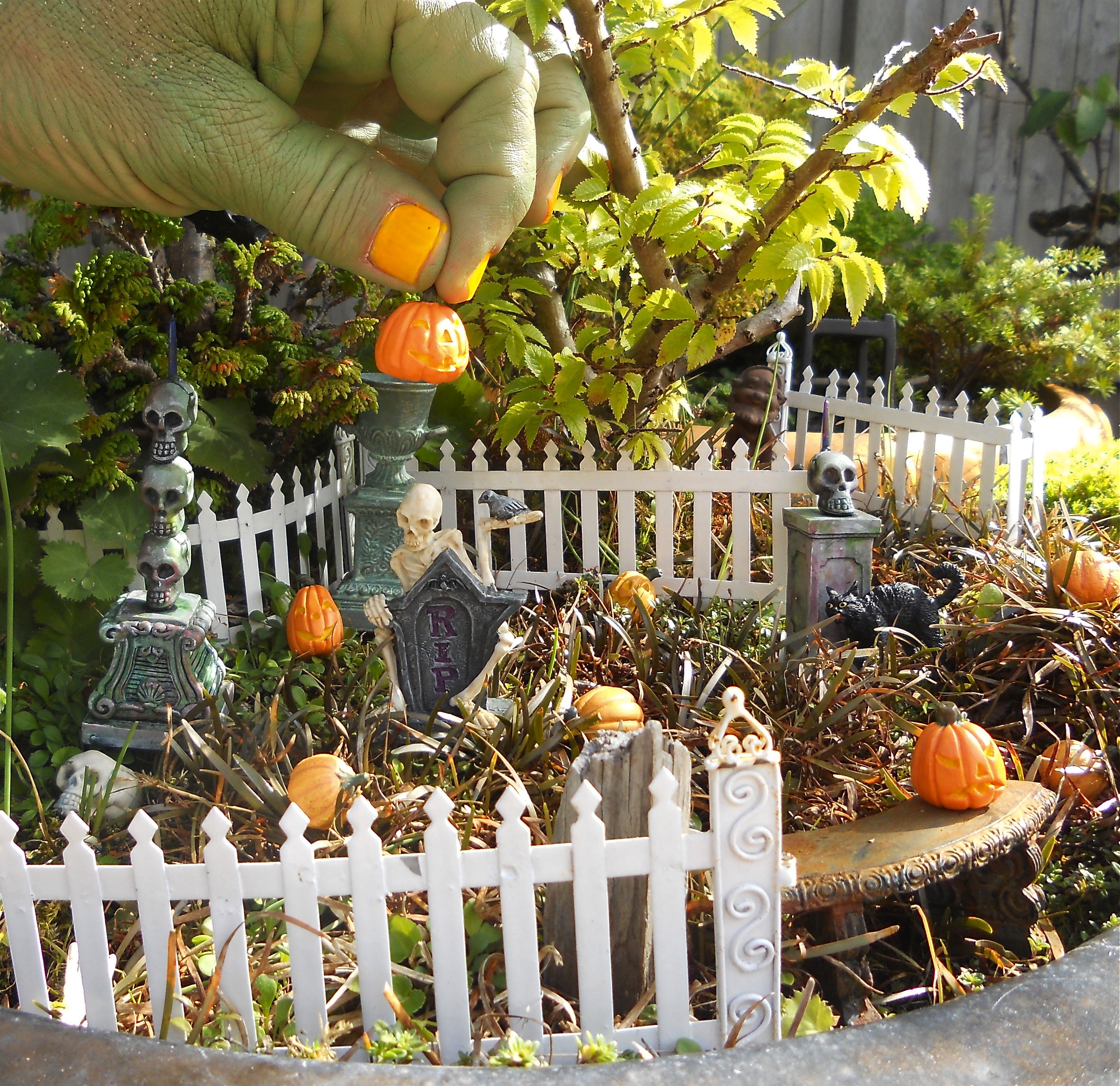 Halloween Fairy Garden
 It’s a Miniature Halloween Garden Contest – The
