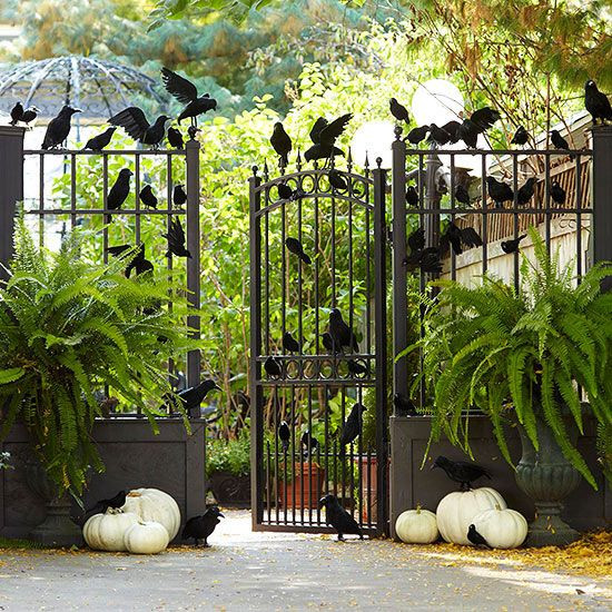 Halloween Fence Decorations
 Best 25 Halloween fence ideas on Pinterest