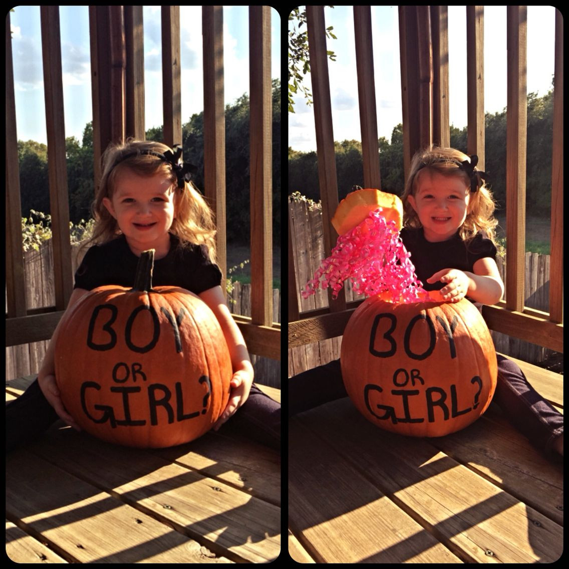 Halloween Gender Reveal Party Ideas
 Fall Pumpkin Gender Reveal Baby Kid Stuff