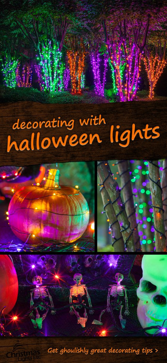 Halloween Porch Light
 Tree forest String lights and Halloween decorations on