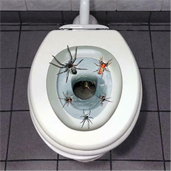Halloween Toilet Seat Cover
 Halloween Spider Toilet Seat Cover Peel and Place