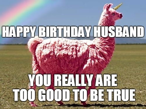 Happy Birthday Husband Funny Meme
 Happy Birthday Husband Memes