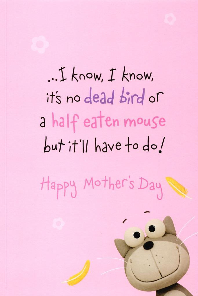 Happy Mother'S Day Quotes
 To Mum From The Cat Happy Mother s Day Card Humour