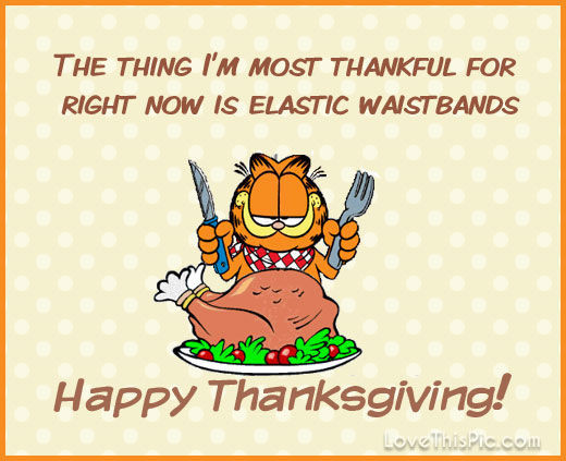 Happy Thanksgiving Pics And Quotes
 Garfield Happy Thanksgiving Quote s and
