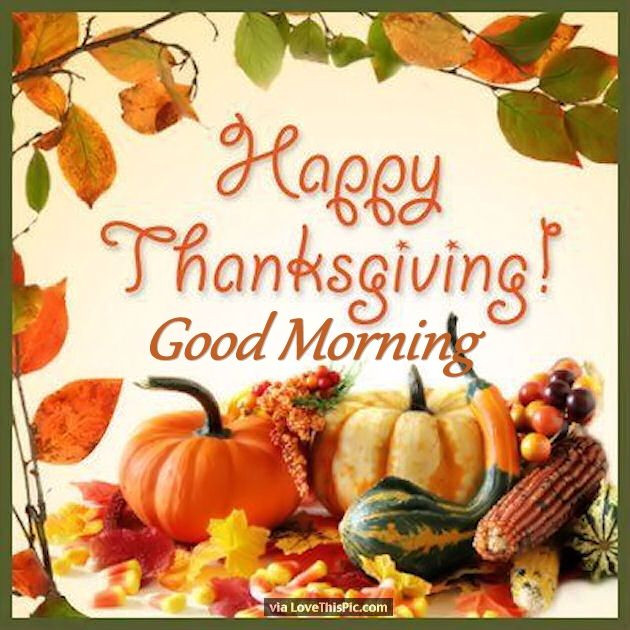 Happy Thanksgiving Pics And Quotes
 Festive Happy Thanksgiving Good Morning Quote