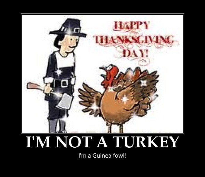 Happy Thanksgiving Pictures And Quotes
 Funny thanksgiving pictures happy thanksgiving pictures