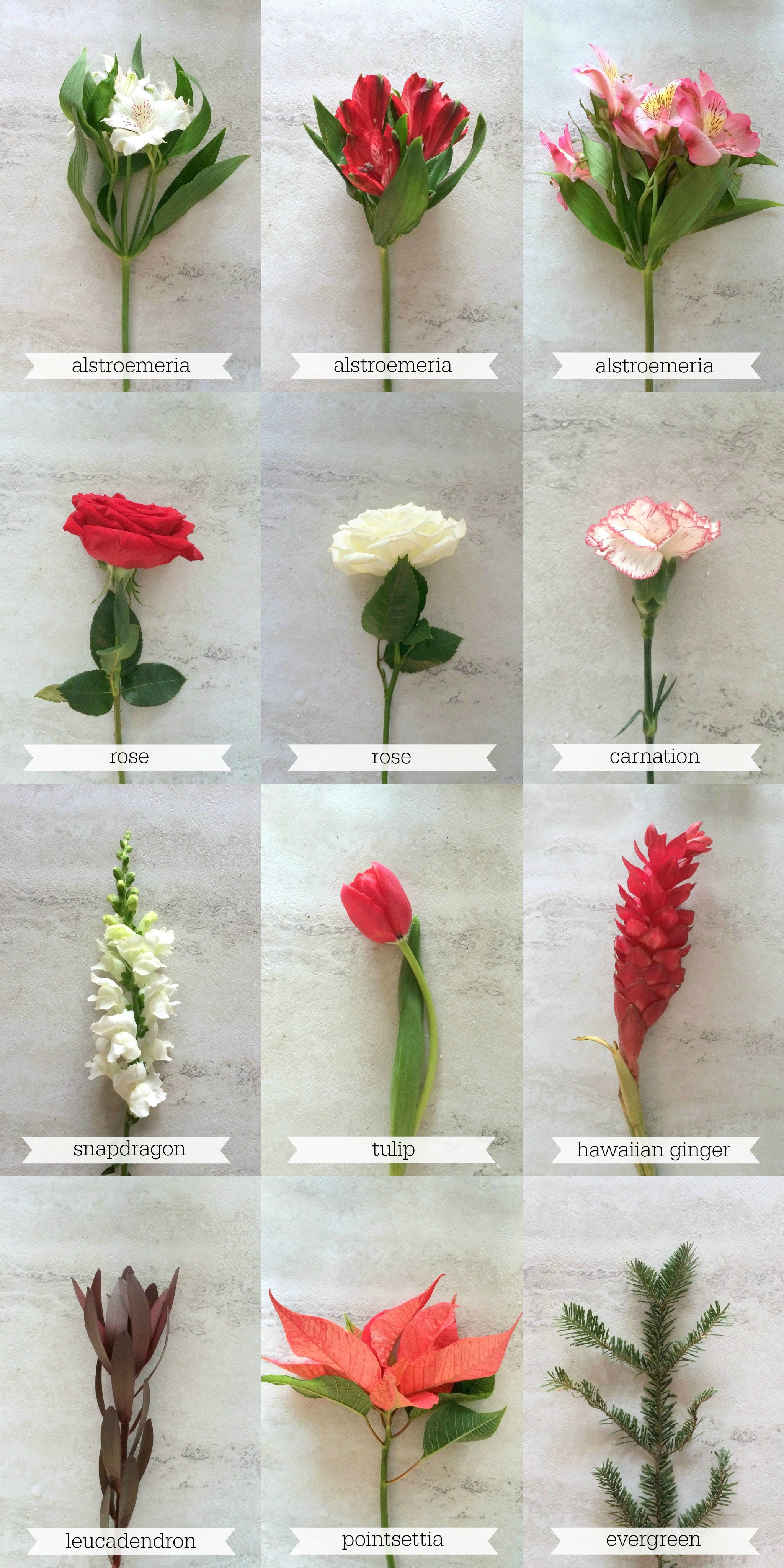Homemade Christmas Flower Arrangements
 DIY Christmas Arrangement js weddings and events