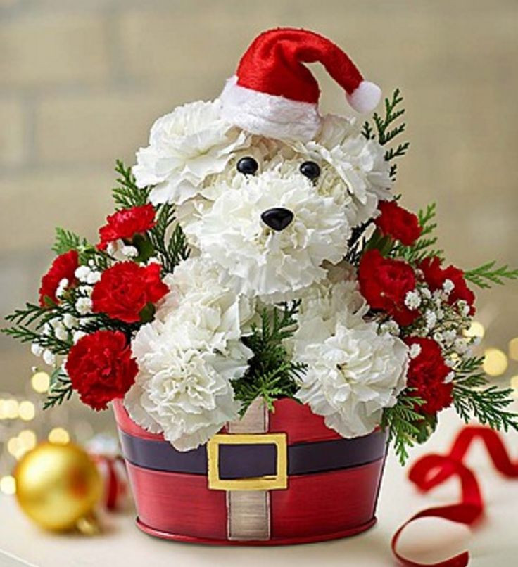 Homemade Christmas Flower Arrangements
 436 best Bichon Flower Arrangements images on Pinterest