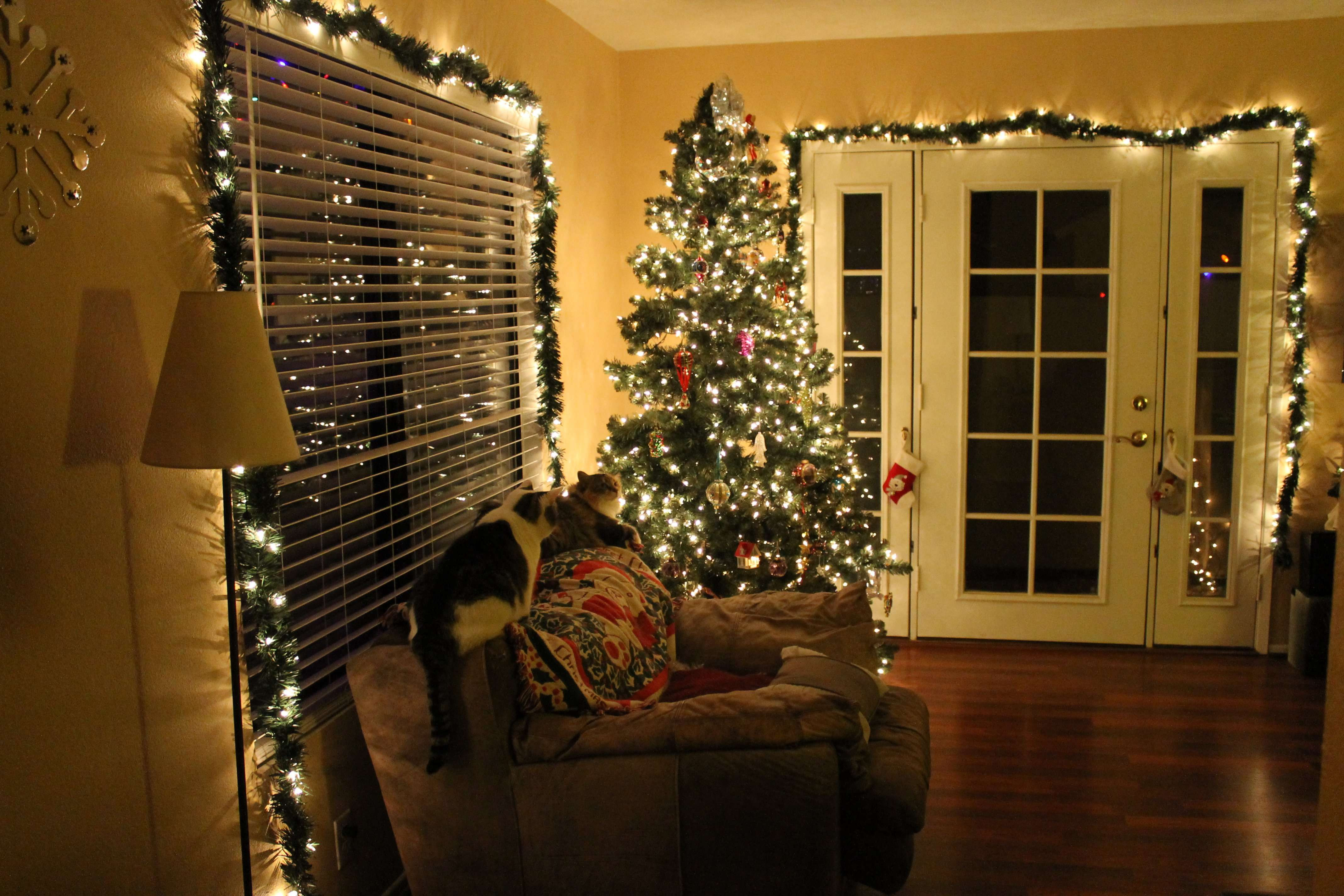 Indoor Christmas Lights
 Get Decorative This Christmas Mozaico Blog