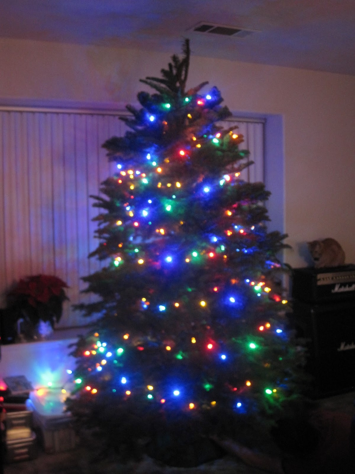 Indoor Led Christmas Tree Lights
 Christmas Tree Led Lights