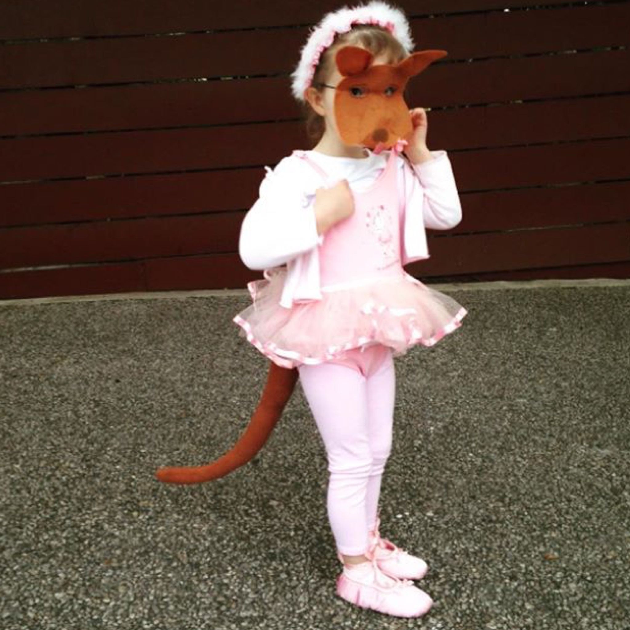 Kangaroo Costume DIY
 Josephine wants to dance Australian book week costume