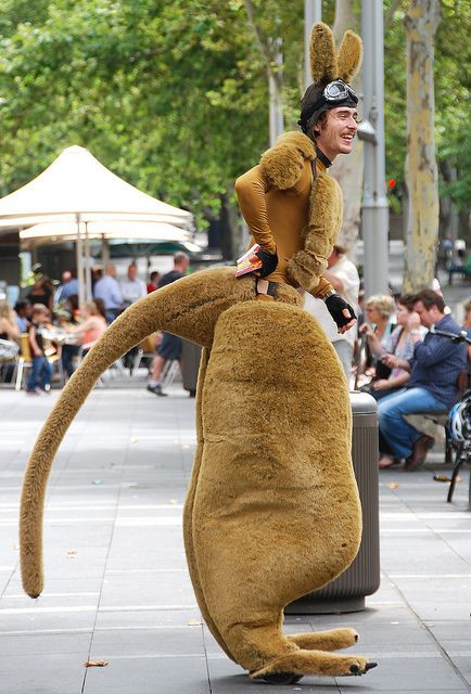 Kangaroo Costume DIY
 1000 ideas about Kangaroo Costume on Pinterest
