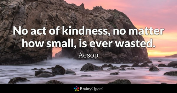 Kindness Quotes Images
 Kindness Quotes BrainyQuote
