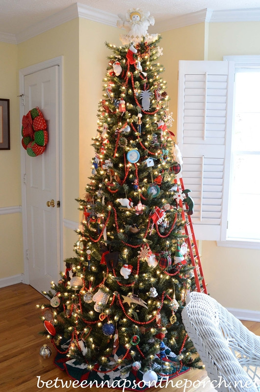 Kitchen Christmas Trees
 Balsam Hill Shopping for the Best & Most Realistic