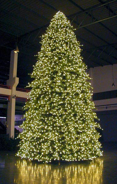 Large Indoor Christmas Decorations
 Elfhelp Christmas Decorating Service