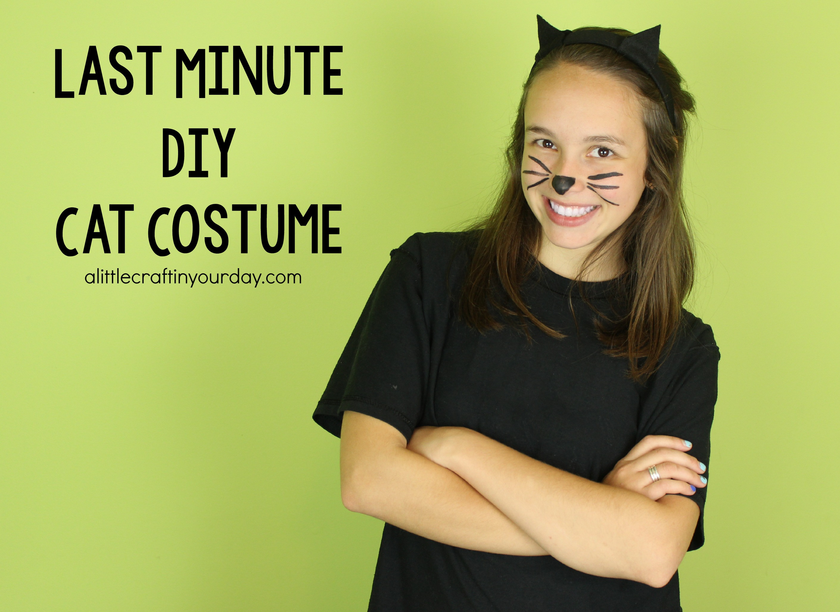 Last Minute DIY Costume
 DIY Cat Costume A Little Craft In Your Day
