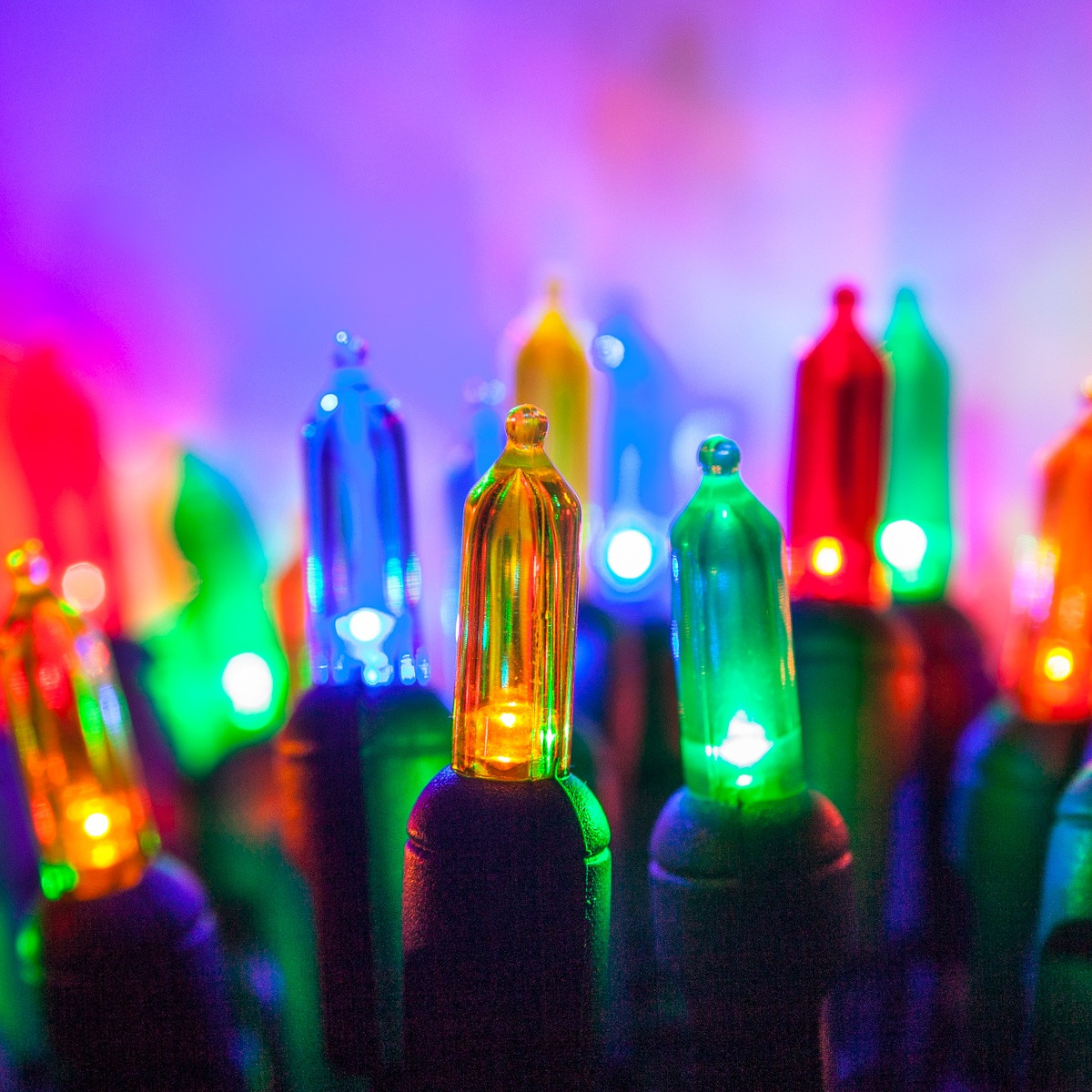 Led Christmas Lighting
 LED Christmas Lights