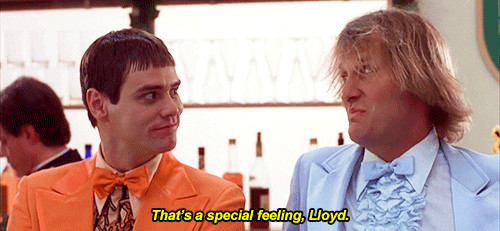 Lloyd Christmas Quotes
 That’s a special feeling Lloyd – MOVIE QUOTES
