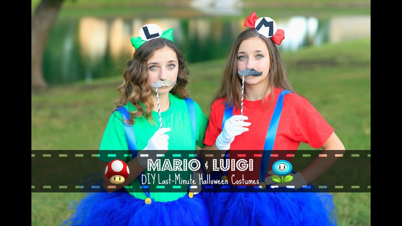 Mario And Luigi DIY Costumes
 Mario & Luigi