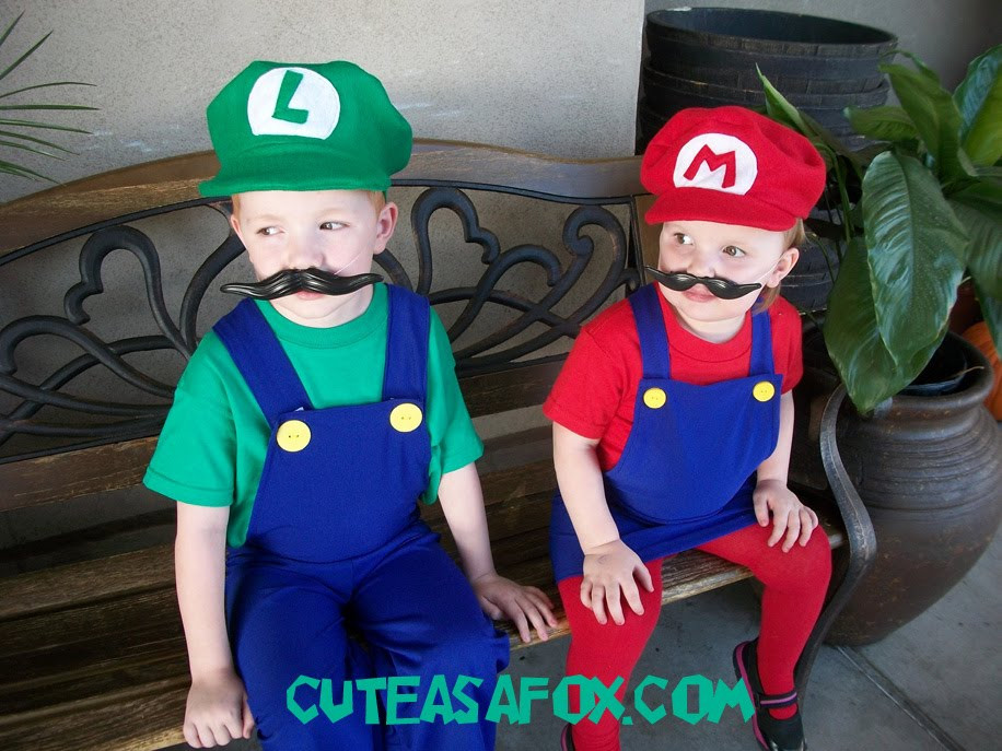 Mario And Luigi DIY Costumes
 Mario & Luigi Halloween Costumes
