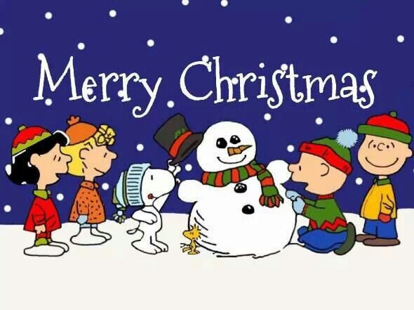Merry Christmas Charlie Brown Quotes
 Best 25 Funny christmas captions ideas on Pinterest