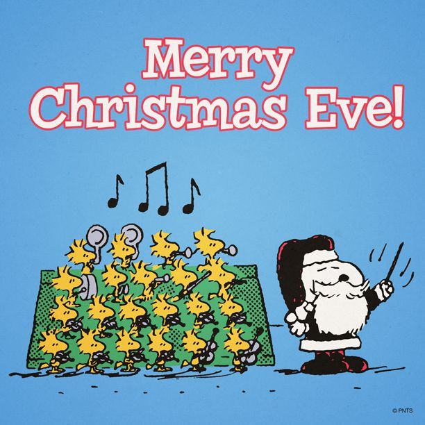 Merry Christmas Charlie Brown Quotes
 806 best images about Snoopy and Friends on Pinterest